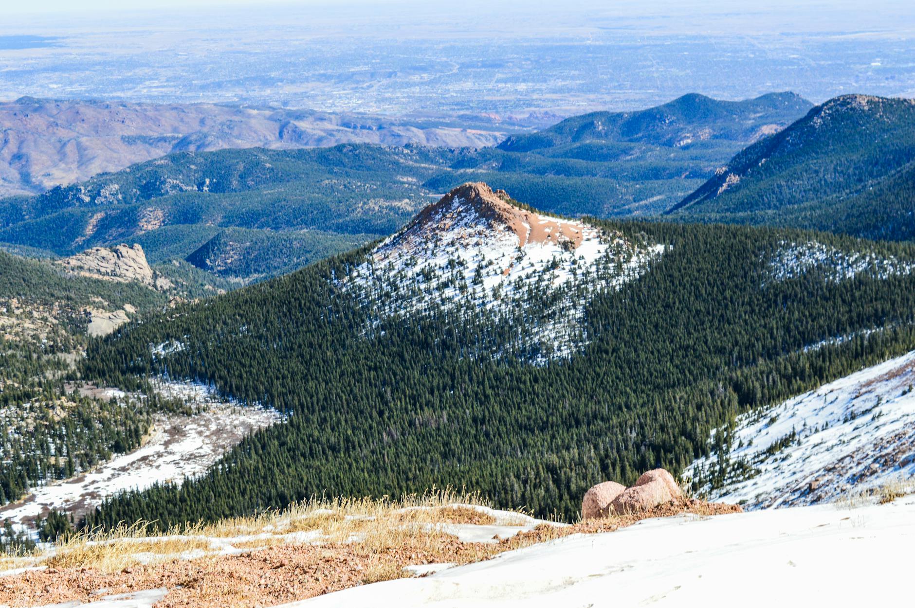 green trees on mountain