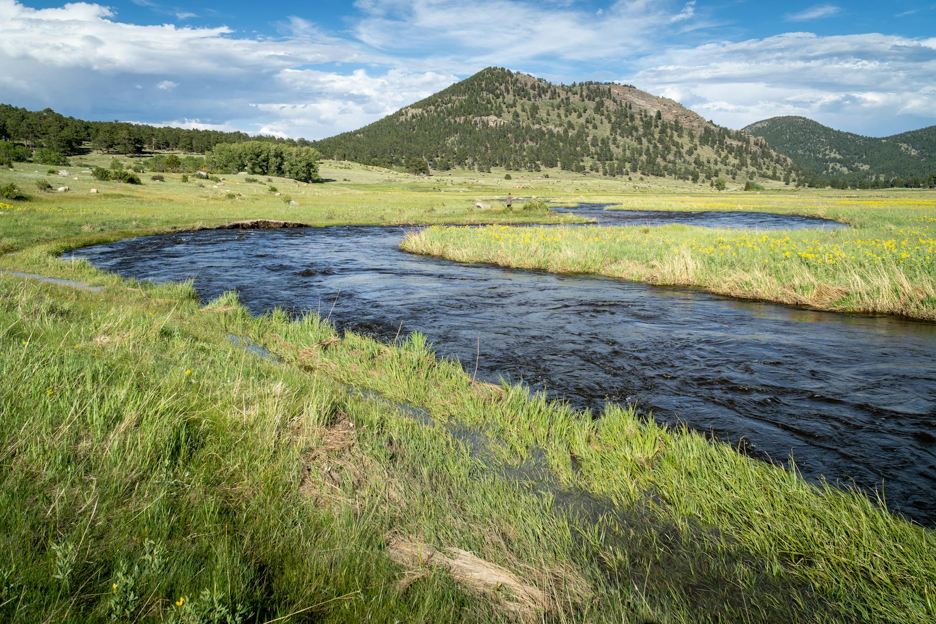 serene river in rocky mountain national park