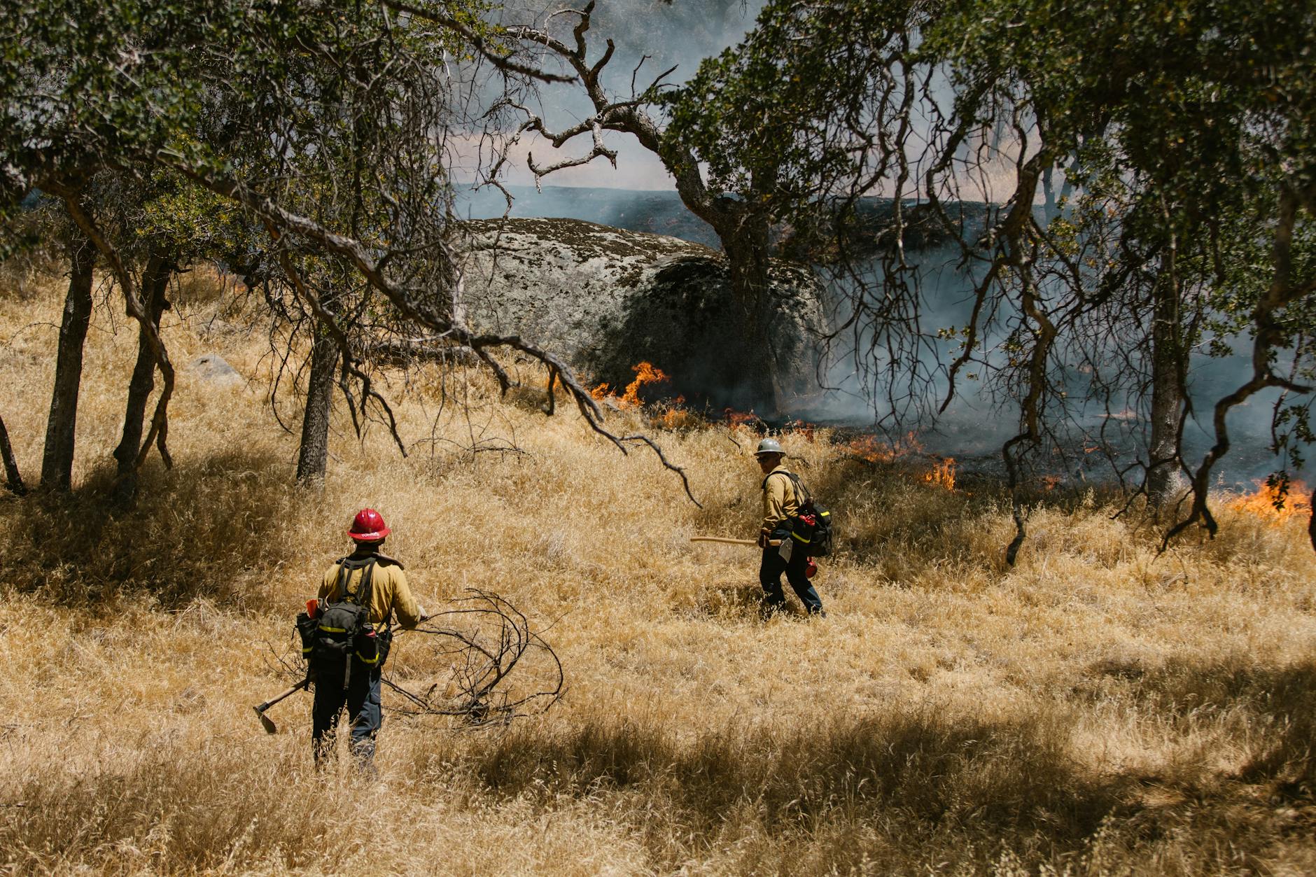 firefighters fighting with flames in california usa