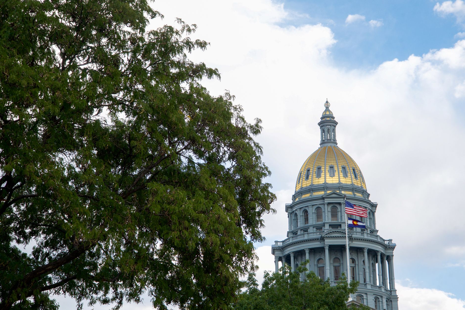 tree near colorado state capitol